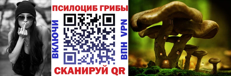 Псилоцибиновые грибы MAGIC MUSHROOMS  даркнет сайт  Белоусово 